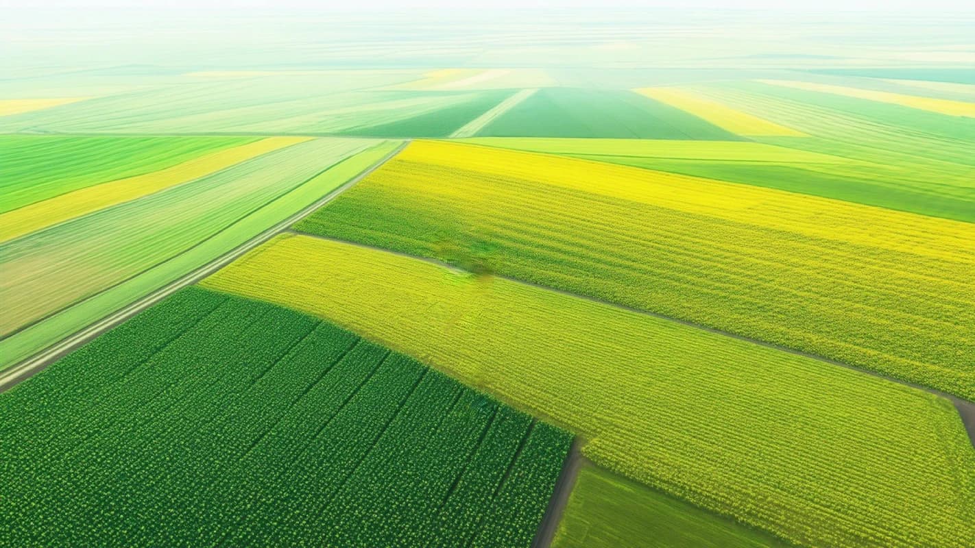 Сільськогосподарські землі