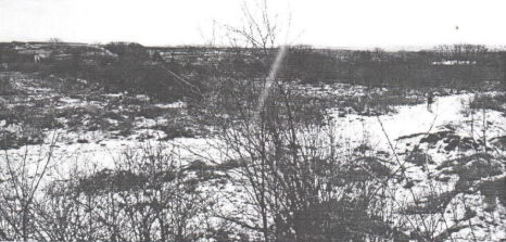 Будівництво та введення в експлуатацію сонячної електростанції