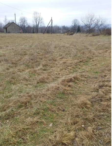 Будівництво будинку побуту