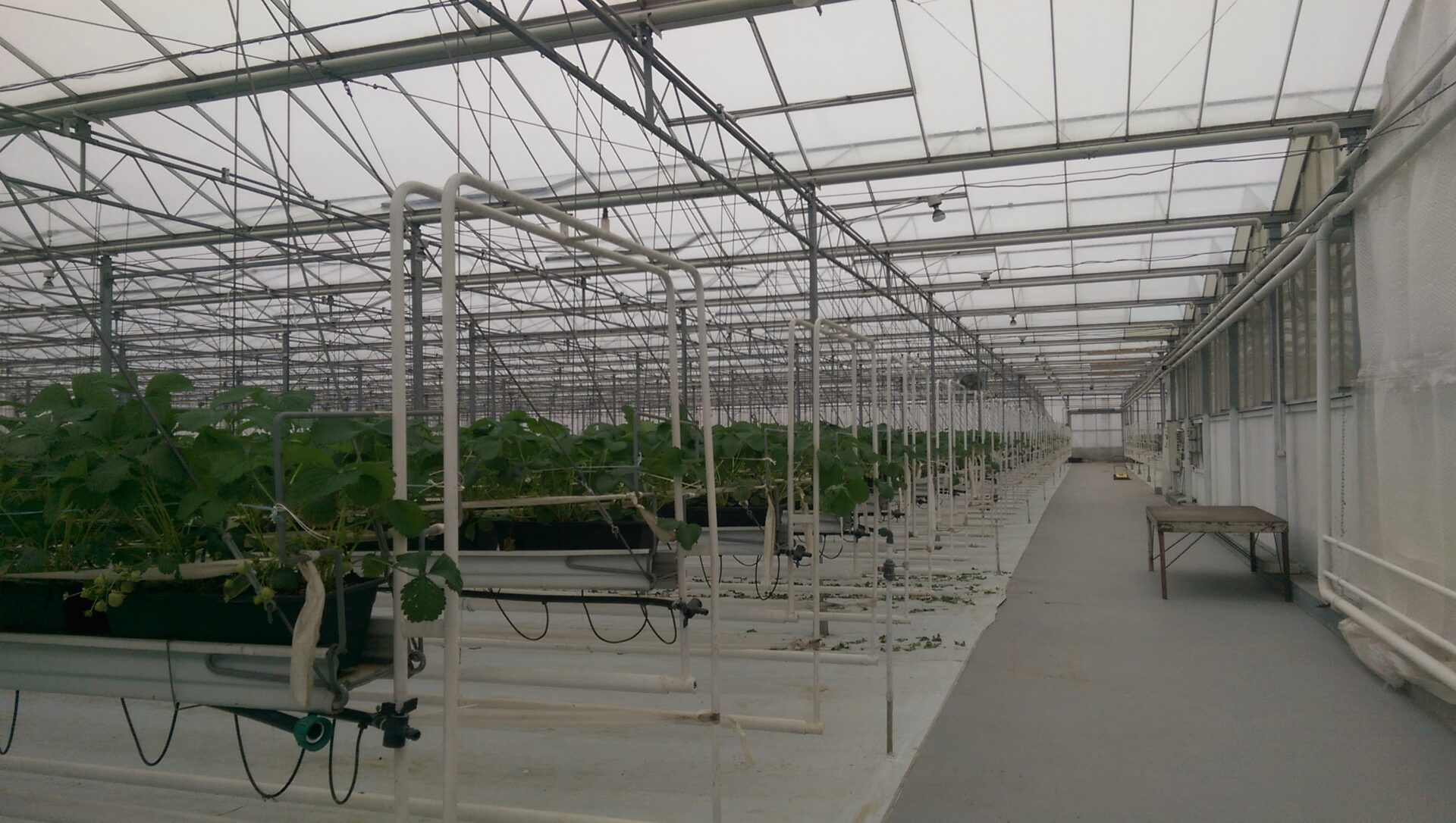 ТОВ «ВІП-КО»