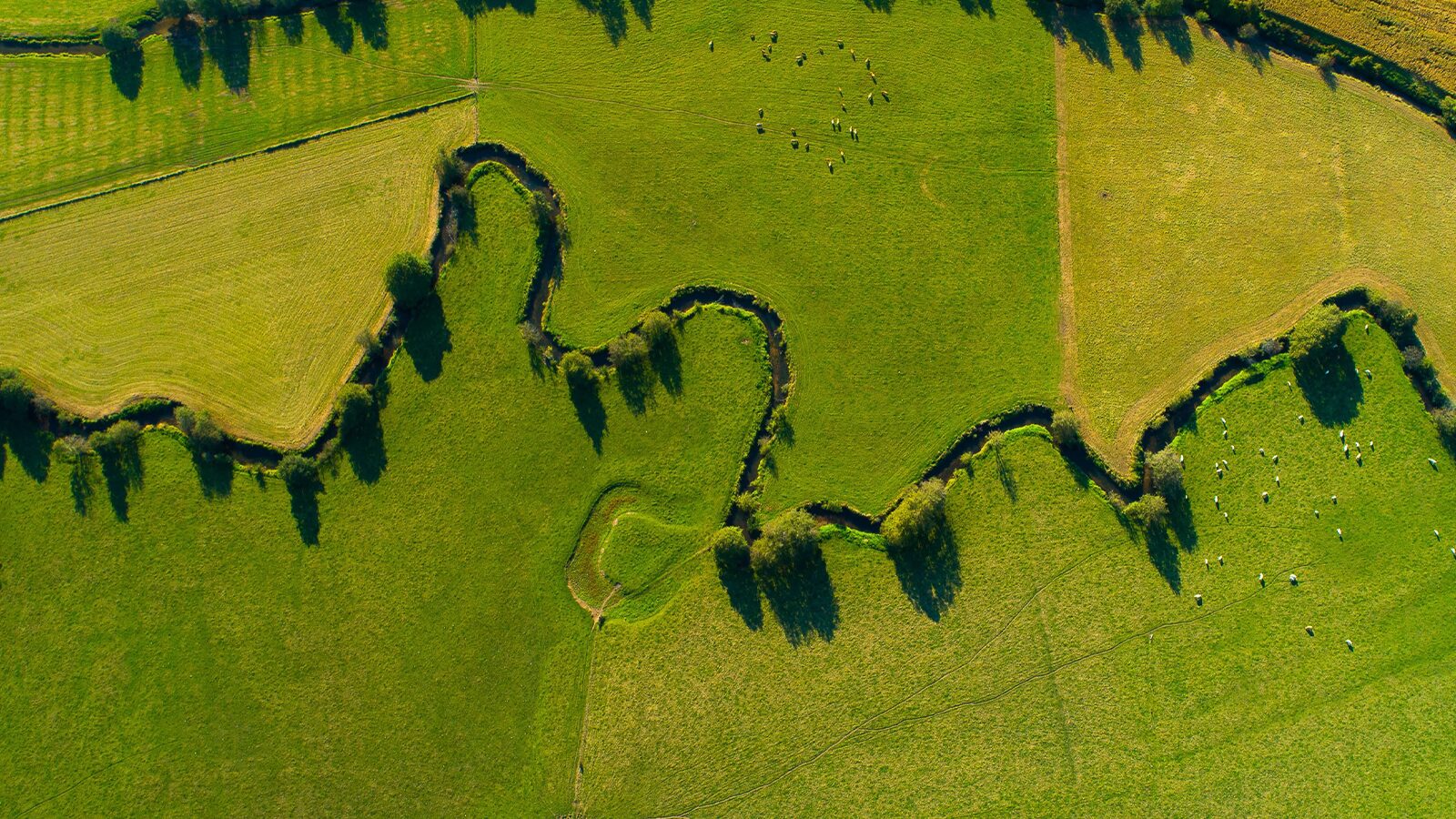 Плейсхолдер для Земельна ділянка під приміщенням колишнього цегельного заводу